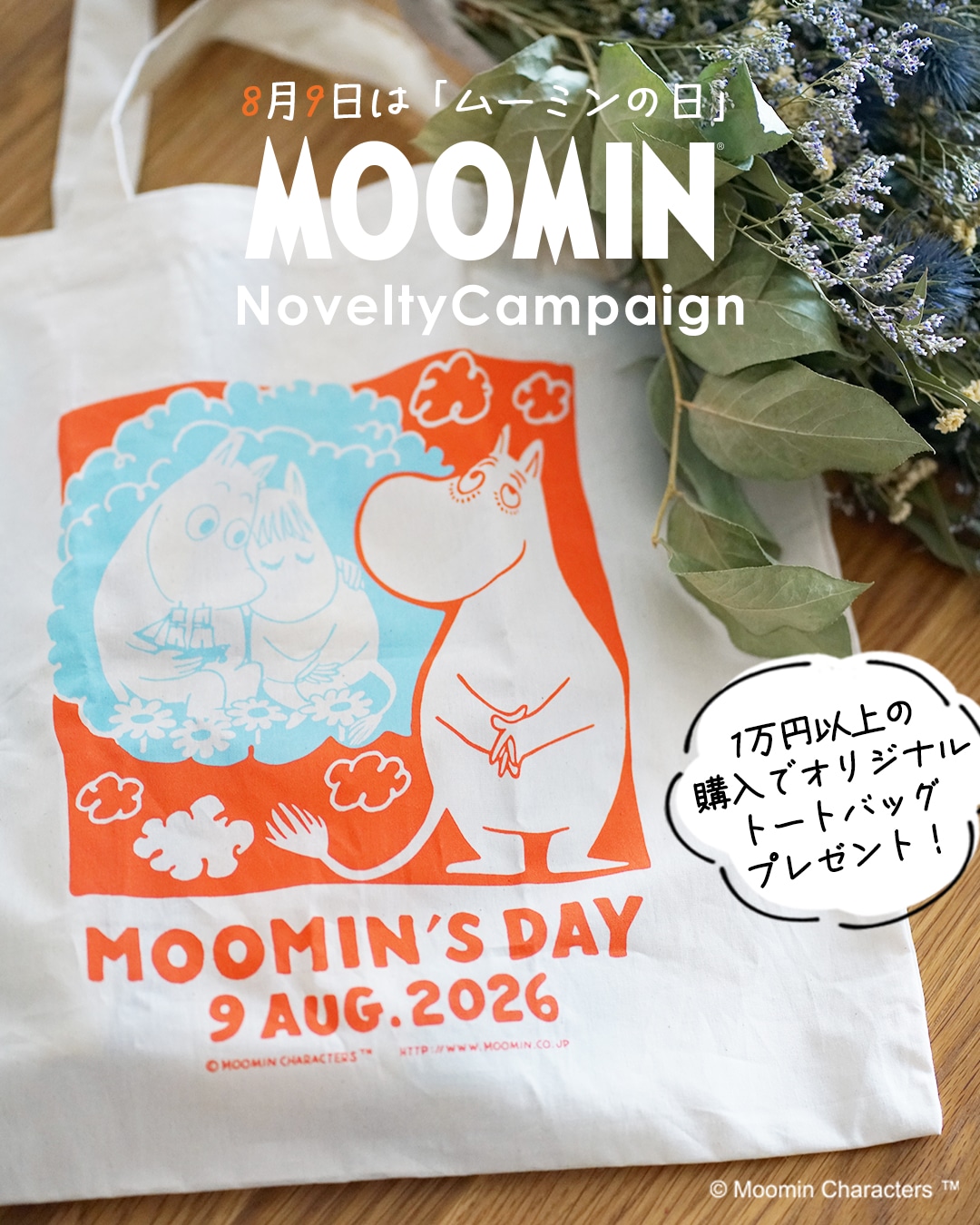 moomin_novelty01.jpg
