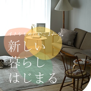 新生活特集 2026