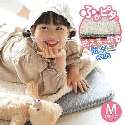 洗える 防音 ふかふか下敷き専用ラグ ふかぴた＜単品＞ （170×170cm 2畳用） メイン