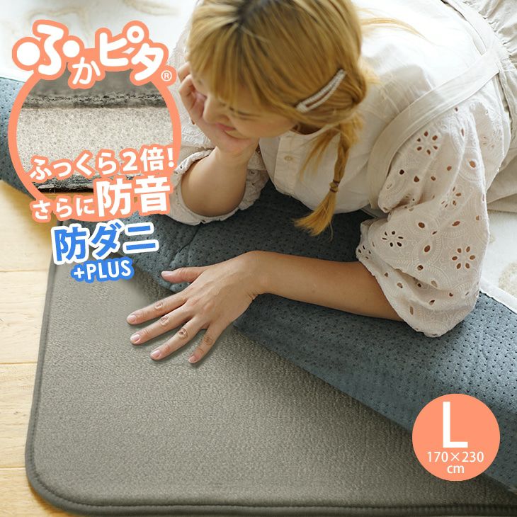 防音 ふかふか 下敷き専用ラグ ふかぴたPLUS ＜厚手＞ （170×230cm 3畳