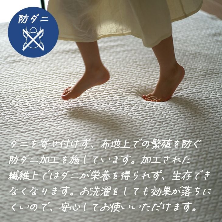ふかふか 下敷き専用 ラグ ふかぴた高反発 (PLUS[厚手]115×170cm) 防ダニ