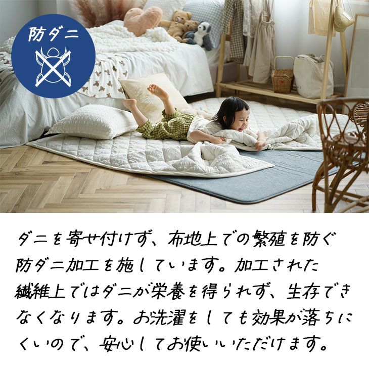 ふかふか 下敷き専用 ラグ ふかぴた高反発 (PLUS[厚手] 170×170cm