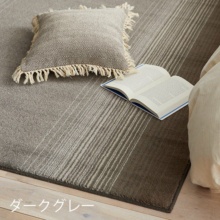 消臭ラグ マール (190×240cm) ダークグレー
