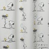 遮光カーテンPEANUTS/ピーナッツフレンズネスト（アイボリー）