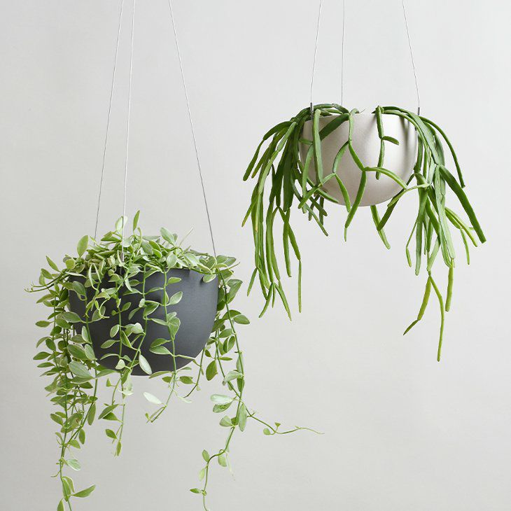 KINTOキントープラントポット201140mmベージュ(イメージ01)