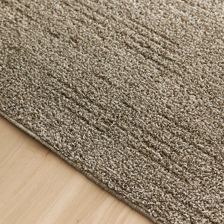 ソル（ディテール02）