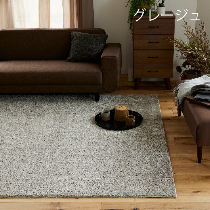 ルフレ（カラー05）