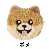 イヌカオ（ポメラニアン）