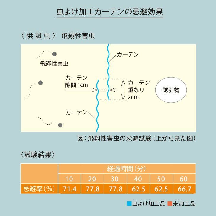 虫よけミラーレースカーテンカカノア（ディテール）