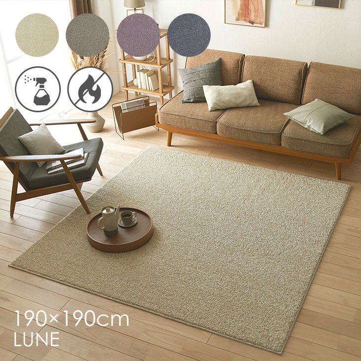 スミノエ/HOME 肌触り抜群。上品な光沢が高級感を演出するおしゃれな 防炎＆消臭ラグの通販ページ