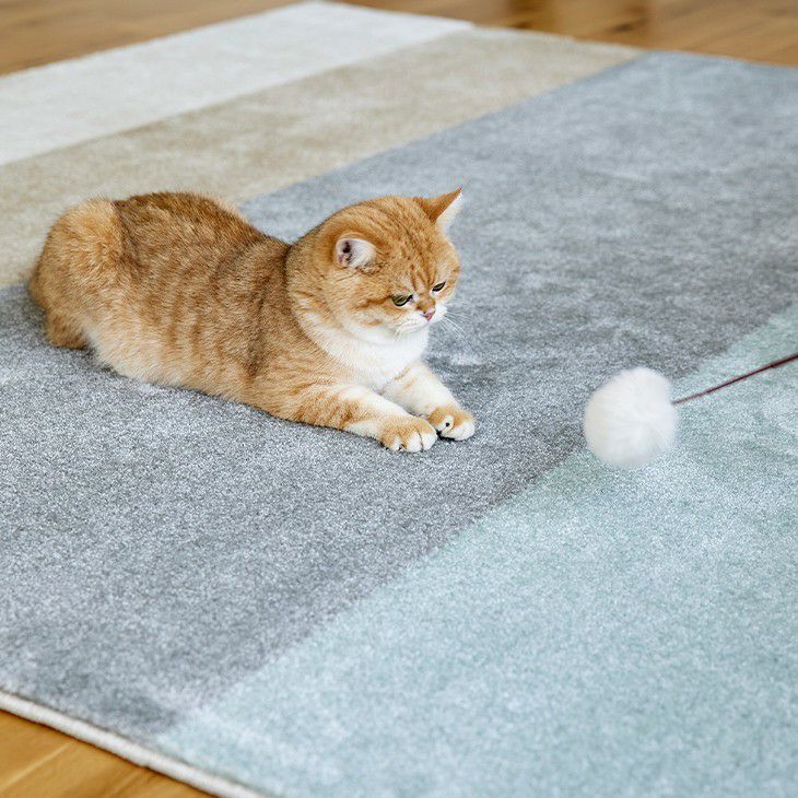 ワグ（ペットも快適01）