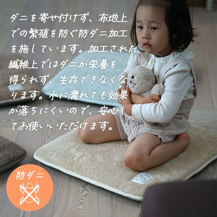 訳あり品】極厚シートクッション テディファー(55×55cm) | cucan