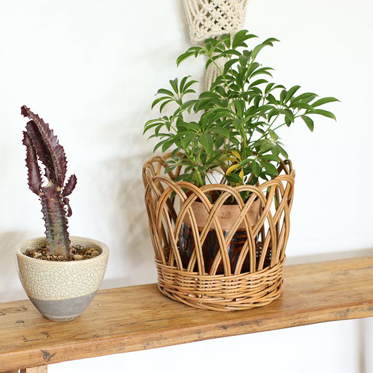 クレエ鉢カバーアラログポットカバーL（イメージ）