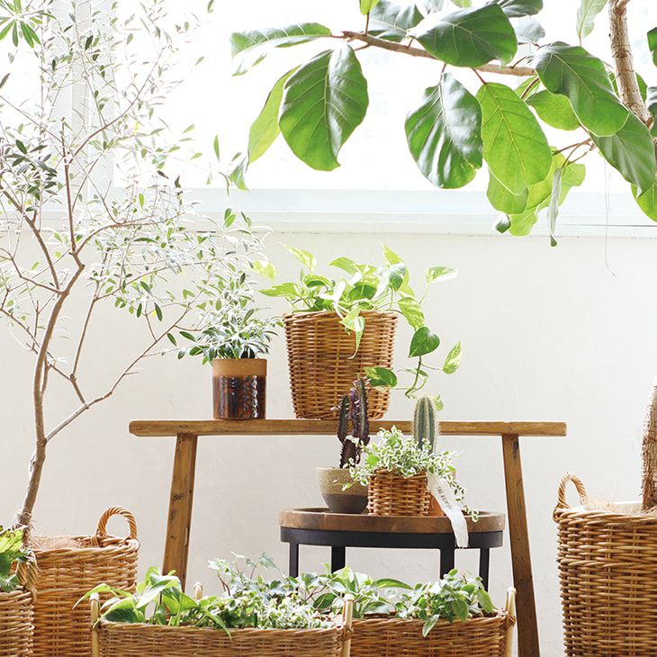 クレエプランターバスケット6号鉢用アラログブラウン（イメージ）