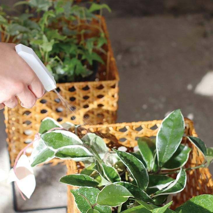 クレエポットスタンドL（カラー）