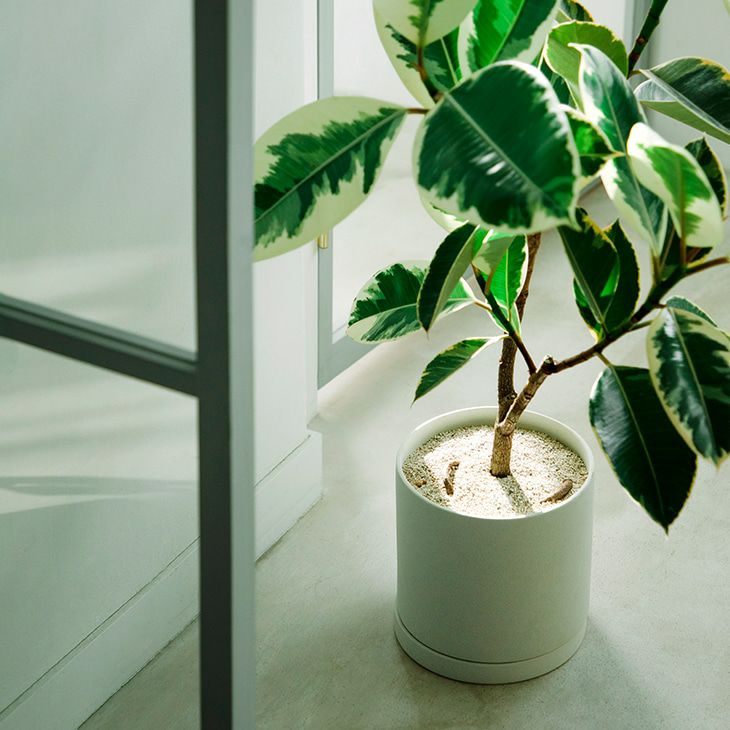 KINTOキントープラントポット200×195mm(アースグレー)（イメージ）