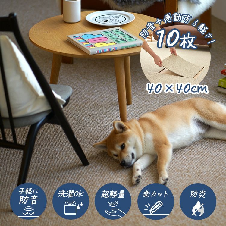 フローループ（イメージ）