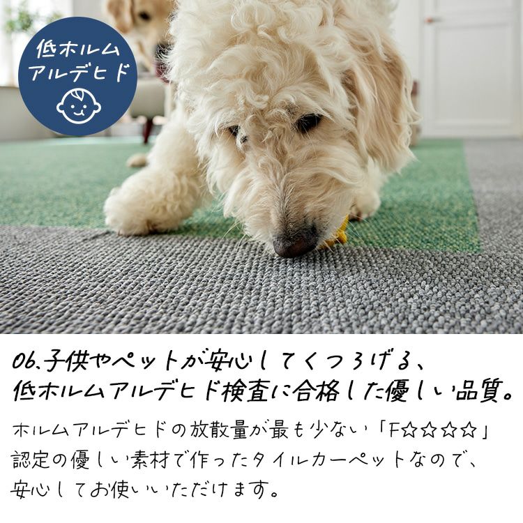 防音 防炎 洗える タイルカーペット フローループ 40×40cm 10枚セット