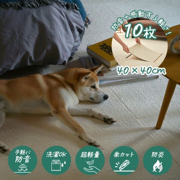 ソフトフィール（イメージ）