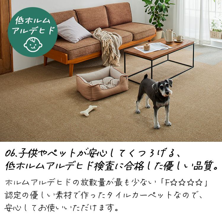 防音 防炎 洗える タイルカーペット ソフトフィール 40×40cm 10枚