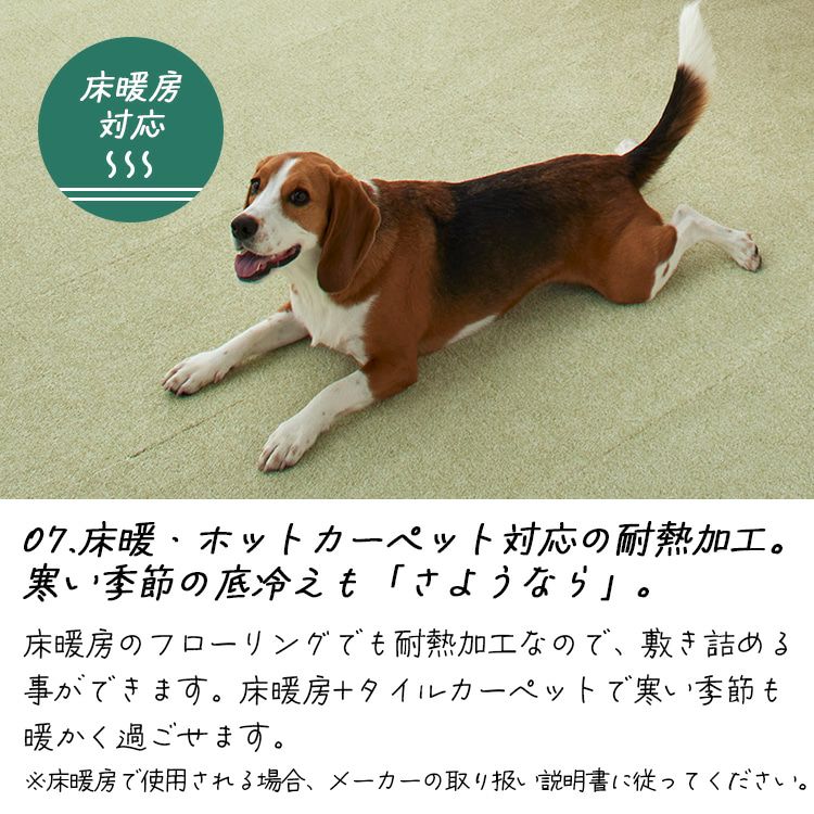 防音 防炎 洗える タイルカーペット ソフトフィール 40×40cm 10枚