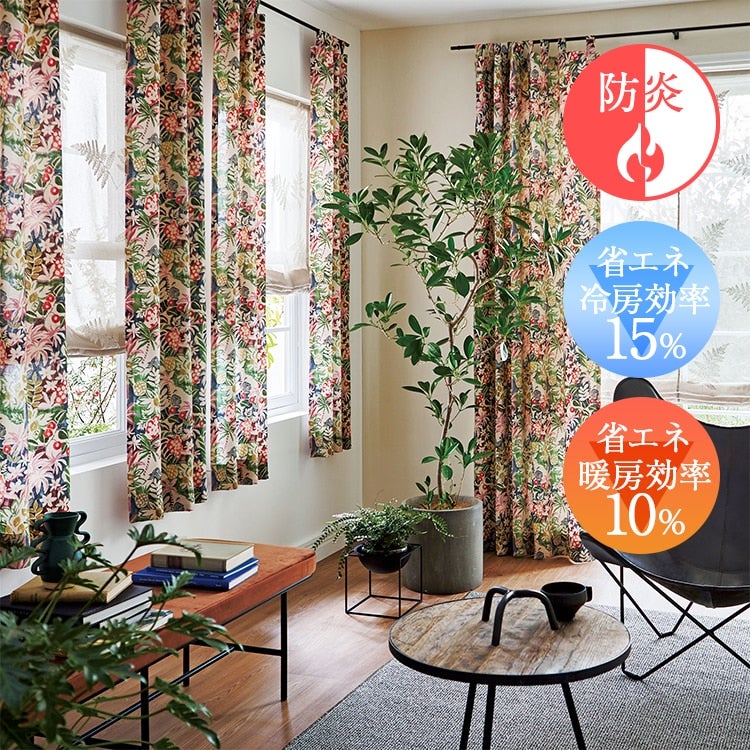 （メインイメージ）