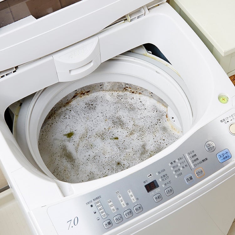 洗濯槽の洗浄剤B 全自動洗濯機用 300g クラフトマンシップ 木村石鹸（詳細）